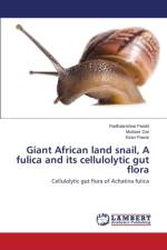 Giant African land snail, A fulica and its cellulolytic gut flora af Dar Mudasir