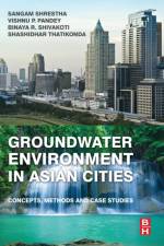 Groundwater Environment in Asian Cities