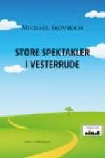 STORE SPEKTAKLER I VESTERRUDE af Michael Skovholm