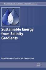Sustainable Energy from Salinity Gradients