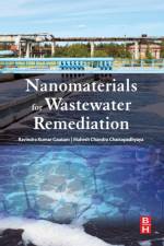Nanomaterials for Wastewater Remediation af Ravindra Kumar (Environmental Chemistry Research Laboratory Gautam