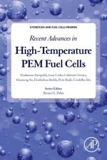 Recent Advances in High-Temperature PEM Fuel Cells af Sivakumar (Programme Manager for HySA Systems Competence Centre Pasupathi