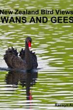 New Zealand bird views af Raewyn Adams