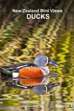 New Zealand bird views af Raewyn Adams