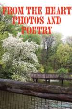 From The Heart Photos and Poetry af Selena Millman