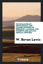 Human Brain af W Bevan Lewis