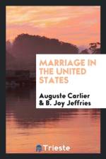 Marriage in the United States af B Joy Jeffries