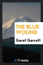 Blue Wound af Garet Garrett