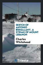 Sketch of Antonio Bishallany, a Syrian of Mount Lebanon af Charles Whitehead
