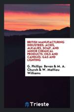 British Manufacturing Industries af G Phillips Bevan