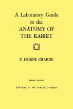 Laboratory Guide to the Anatomy of the Rabbit af Edward Horne Craigie
