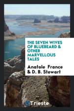 Seven Wives of Bluebeard & Other Marvellous Tales af D B Stewart