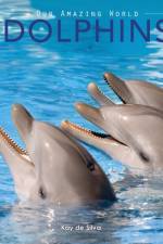 Dolphins af Kay De Silva