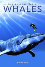 Whales af Kay De Silva