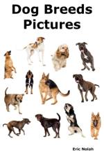 Dog Breeds Pictures af Eric Nolah