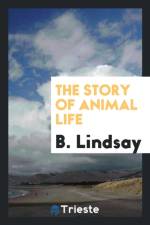 Story of Animal Life af B Lindsay