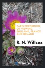 Paris Exposition; Or, Viewing England, France and Ireland af R N Willcox