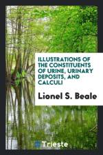 Illustrations of the Constituents of Urine, Urinary Deposits, and Calculi af Lionel S Beale
