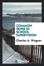 Common Sense in School Supervision af Charles A Wagner