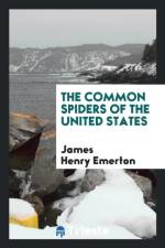 Common Spiders of the United States af James H Emerton