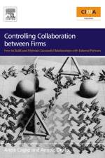 Controlling Collaboration between Firms af Angelo (Institute of Accounting Ditillo