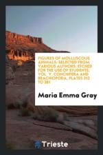 Figures of Molluscous Animals af Maria Emma Gray