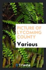 Picture of Lycoming County af Various
