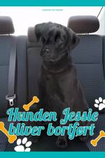 Hunden Jessie bliver bortført af Christine Pullein Thompson