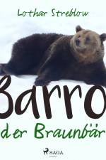 Barro, der Braunbär af Lothar Streblow