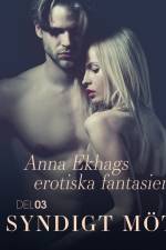 Syndigt möte – Anna Ekhags erotiska fantasier del 3 af Adam Zander