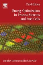 Energy Optimization in Process Systems and Fuel Cells af Stanislaw (Professor of Chemical Engineering Sieniutycz