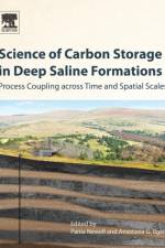 Science of Carbon Storage in Deep Saline Formations af Albuquerque