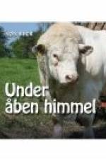 UNDER ÅBEN HIMMEL af Søs Beck