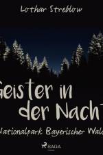 Geister in der Nacht. Nationalpark Bayerischer Wald af Lothar Streblow