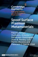 Spoof Surface Plasmon Metamaterials af Paloma Arroyo (Imperial College London) Huidobro