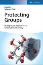 Protecting Groups: Strategies and Applications in Carbohydrate Chemistry af S Vidal