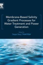 Membrane-Based Salinity Gradient Processes for Water Treatment and Power Generation