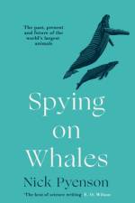 Spying on Whales af Nick Pyenson