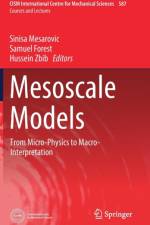 Mesoscale Models