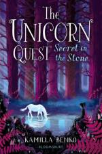 Secret in the Stone af Kamilla Benko