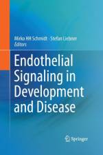 Endothelial Signaling in Development and Disease