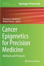 Cancer Epigenetics for Precision Medicine