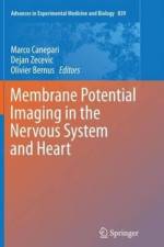 Membrane Potential Imaging in the Nervous System and Heart