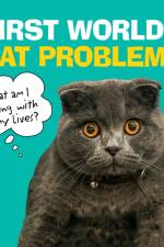 First World Cat Problems