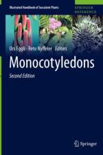 Monocotyledons