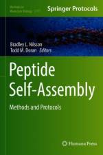 Peptide Self-Assembly