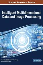 Intelligent Multidimensional Data and Image Processing