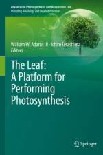 Leaf: A Platform for Performing Photosynthesis