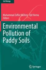 Environmental Pollution of Paddy Soils