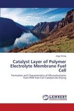 Catalyst Layer of Polymer Electrolyte Membrane Fuel Cell af Wang Jingyi